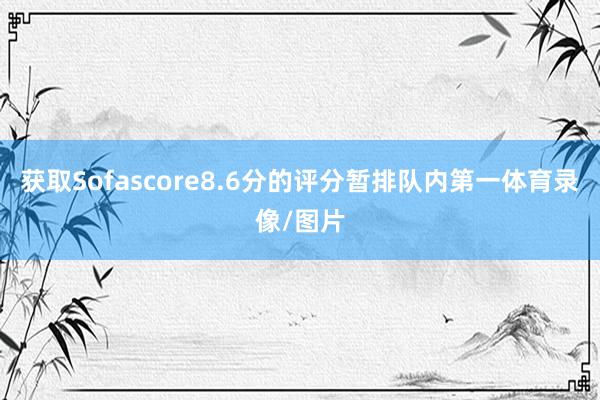 获取Sofascore8.6分的评分暂排队内第一体育录像/图片
