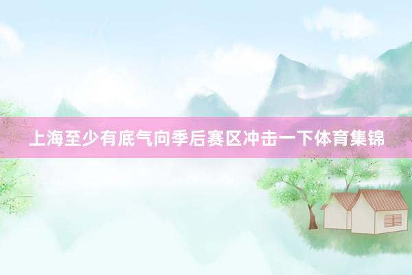 上海至少有底气向季后赛区冲击一下体育集锦