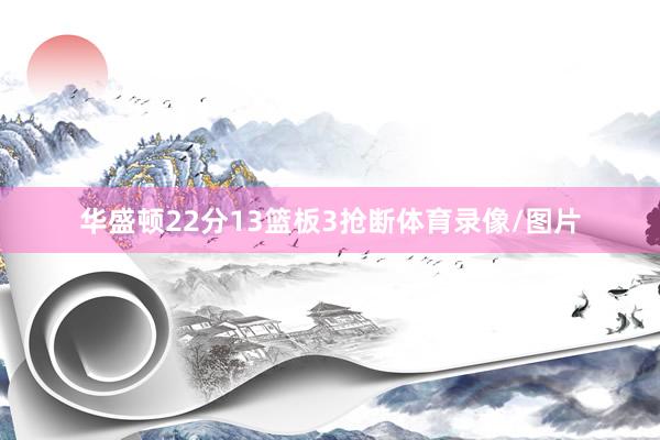 华盛顿22分13篮板3抢断体育录像/图片