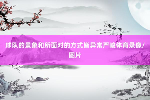 球队的景象和所面对的方式皆异常严峻体育录像/图片