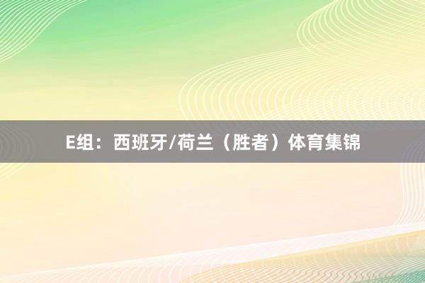 E组：西班牙/荷兰（胜者）体育集锦