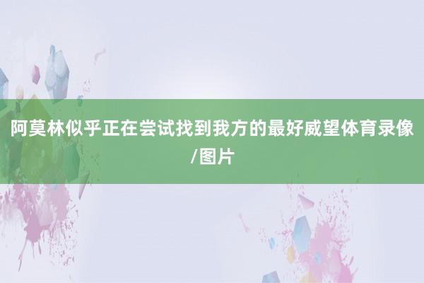 阿莫林似乎正在尝试找到我方的最好威望体育录像/图片