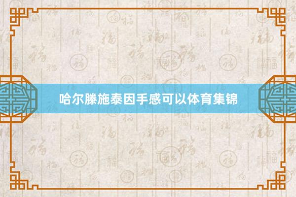 哈尔滕施泰因手感可以体育集锦
