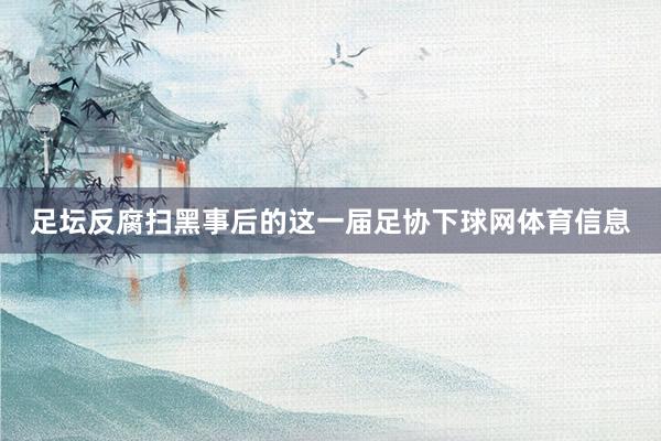 足坛反腐扫黑事后的这一届足协下球网体育信息