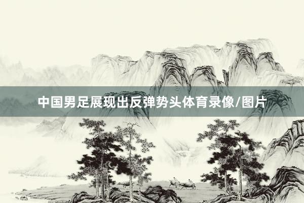 中国男足展现出反弹势头体育录像/图片