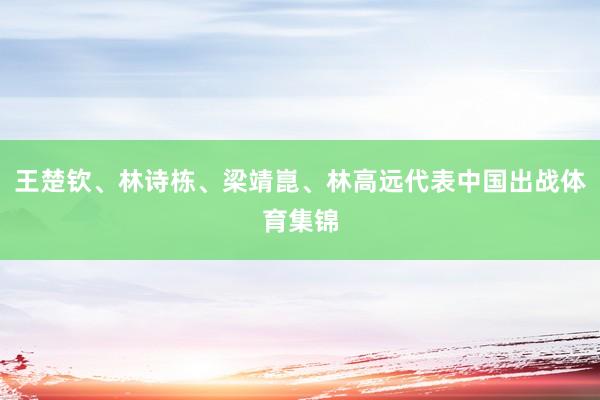 王楚钦、林诗栋、梁靖崑、林高远代表中国出战体育集锦