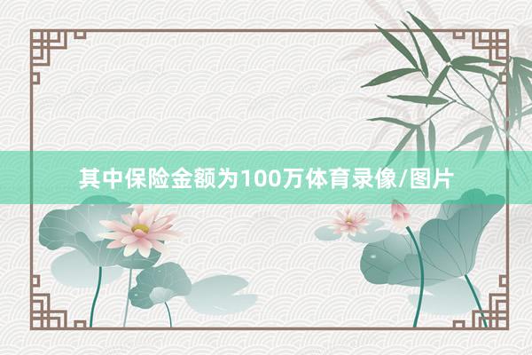 其中保险金额为100万体育录像/图片