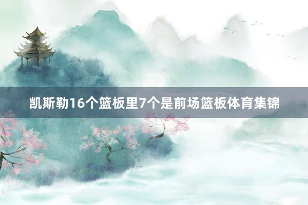 凯斯勒16个篮板里7个是前场篮板体育集锦