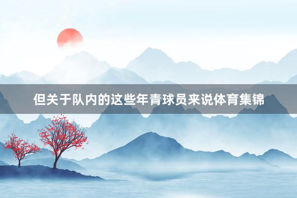 但关于队内的这些年青球员来说体育集锦
