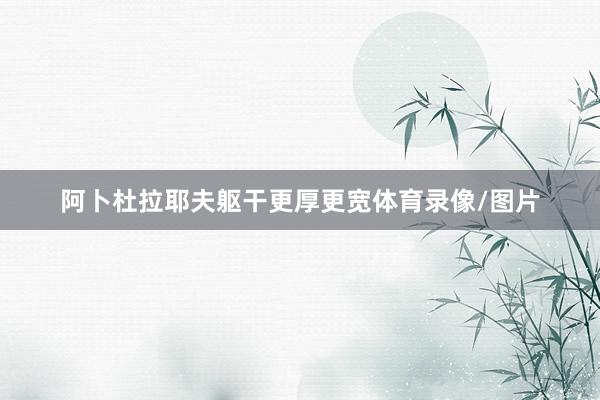 阿卜杜拉耶夫躯干更厚更宽体育录像/图片