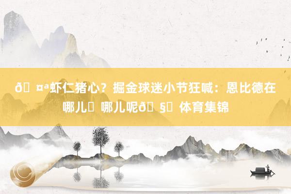 🤪虾仁猪心？掘金球迷小节狂喊：恩比德在哪儿❓哪儿呢🧐体育集锦