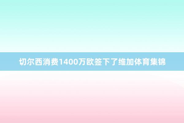 切尔西消费1400万欧签下了维加体育集锦