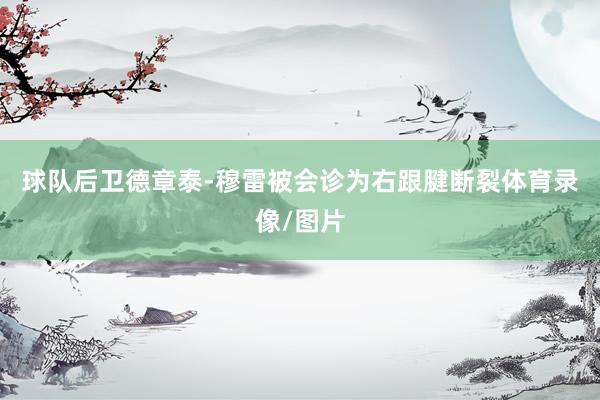 球队后卫德章泰-穆雷被会诊为右跟腱断裂体育录像/图片
