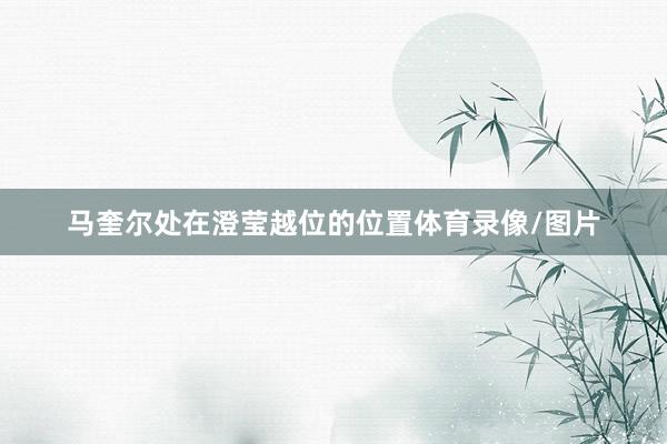 马奎尔处在澄莹越位的位置体育录像/图片