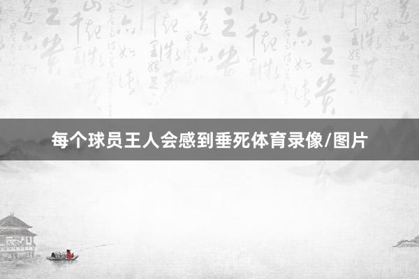 每个球员王人会感到垂死体育录像/图片
