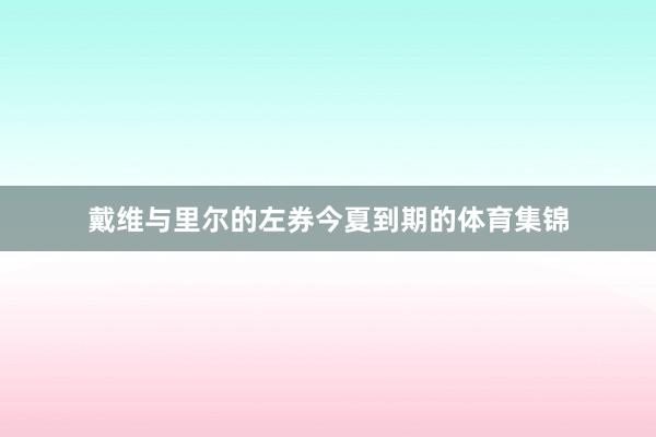 戴维与里尔的左券今夏到期的体育集锦
