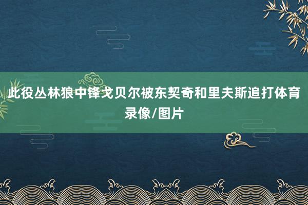 此役丛林狼中锋戈贝尔被东契奇和里夫斯追打体育录像/图片