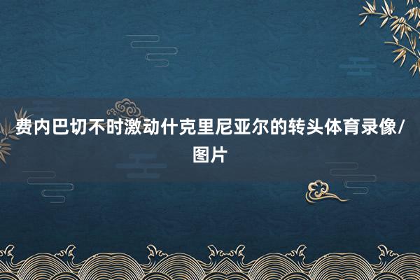 费内巴切不时激动什克里尼亚尔的转头体育录像/图片