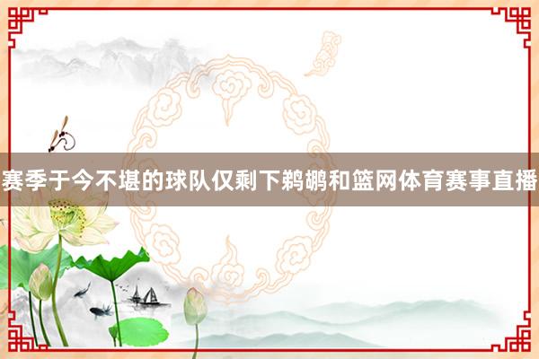 赛季于今不堪的球队仅剩下鹈鹕和篮网体育赛事直播