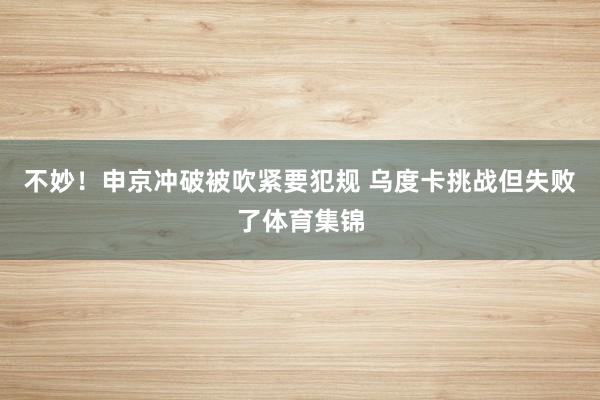 不妙！申京冲破被吹紧要犯规 乌度卡挑战但失败了体育集锦