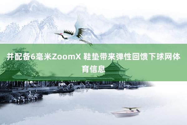 并配备6毫米ZoomX 鞋垫带来弹性回馈下球网体育信息