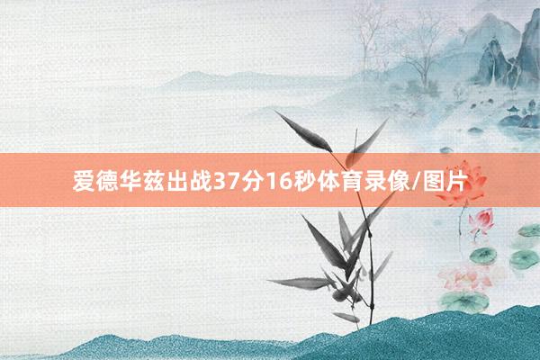 爱德华兹出战37分16秒体育录像/图片